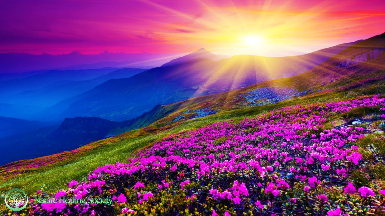 THE BEST GOOD MORNING MUSIC 💖 528HZ Increase Positive Energy - Healing Meditation Yoga Focus Music