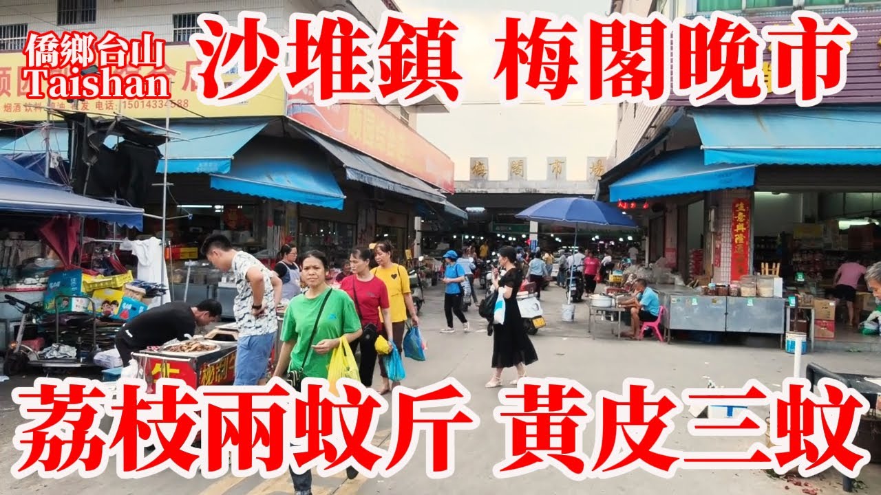 廣東新會 Xinhui 梅閣市場是沙堆鎮最旺的集市！梅閣村人口最多1.5萬人！傍晚工人下班買菜煮飯市集越夜越熱鬧 #農村生活 #citywalk #chinavillagemarket