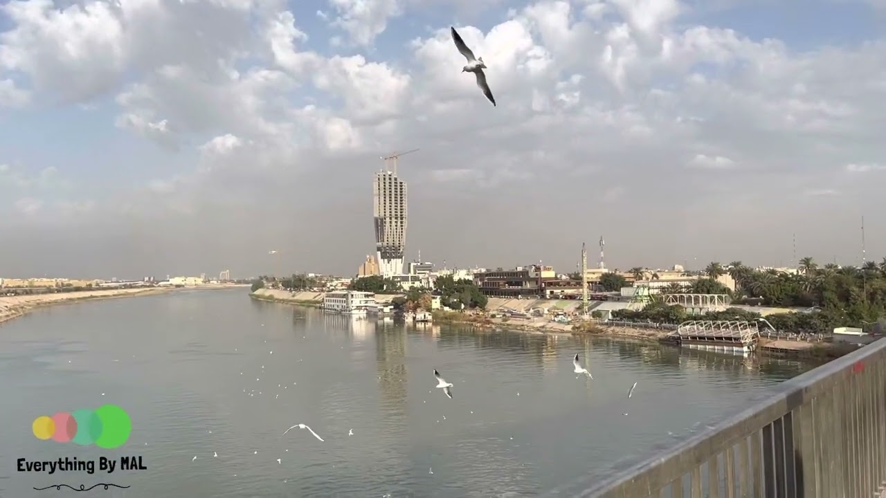 روعة المنظر من جسر الجادرية مع نوارس بغدادنا🌉
