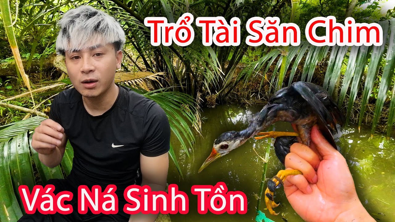 Hậu Cáo - Vác Ná Vào Rừng Săn Chim Quốc Cực Khét