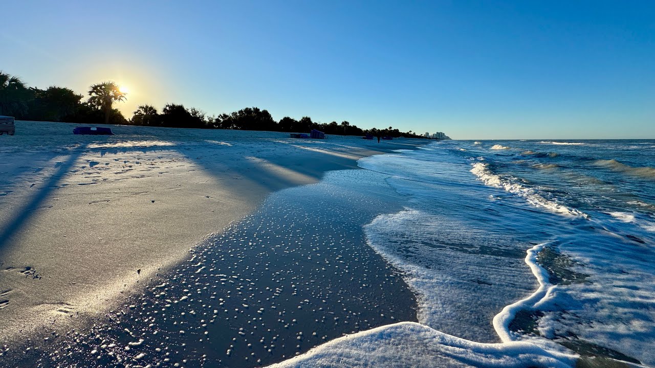 Part 2 of Robb’s Sunday Morning Beach Walk to Clam Pass in North Naples, Florida | February 8, 2026