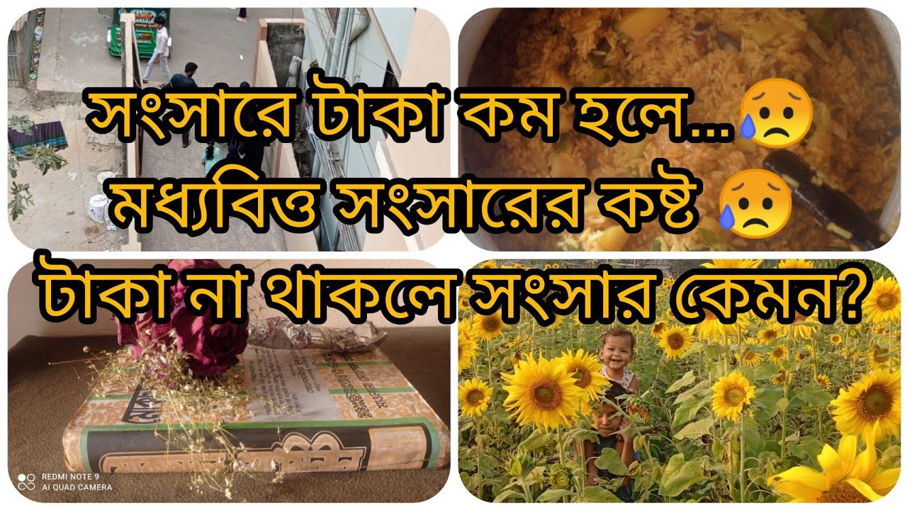 সংসারে টাকা না থাকলে কী হয়? | মধ্যবিত্ত পরিবারের বাস্তব গল্প | Bangla Vlog