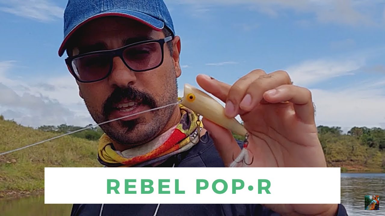 Rebel Pop•R
