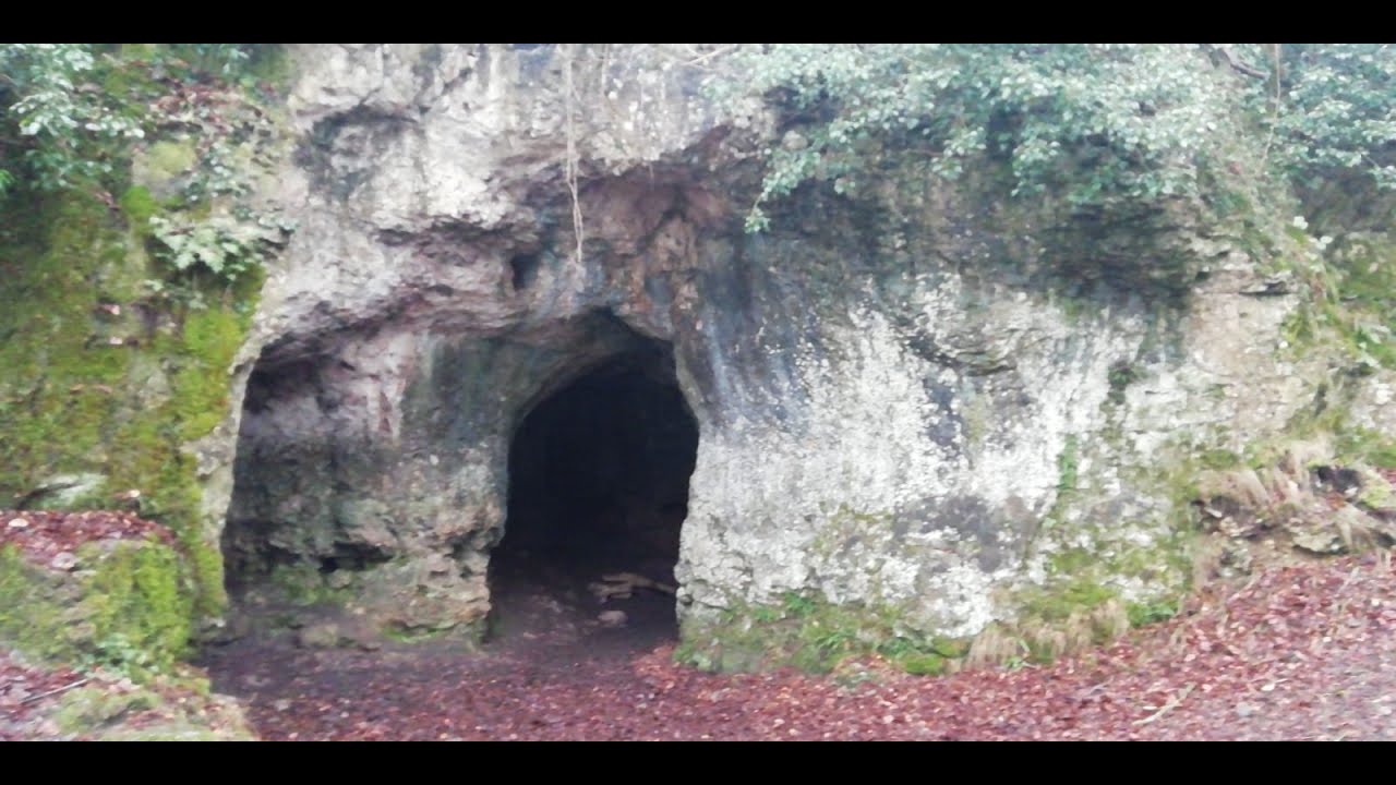 Camping and hiking in the Forest of Dean 2020