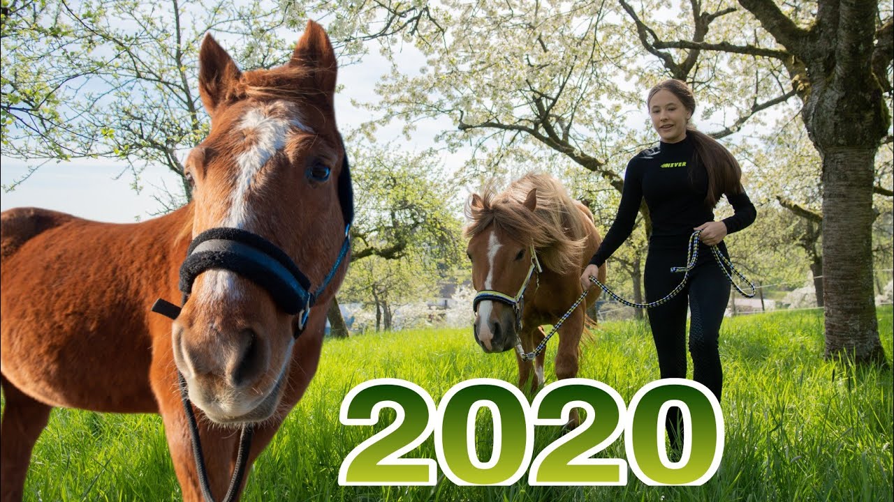 2020 Jahresrückblick | Mein Jahr mit den Pferden🤍