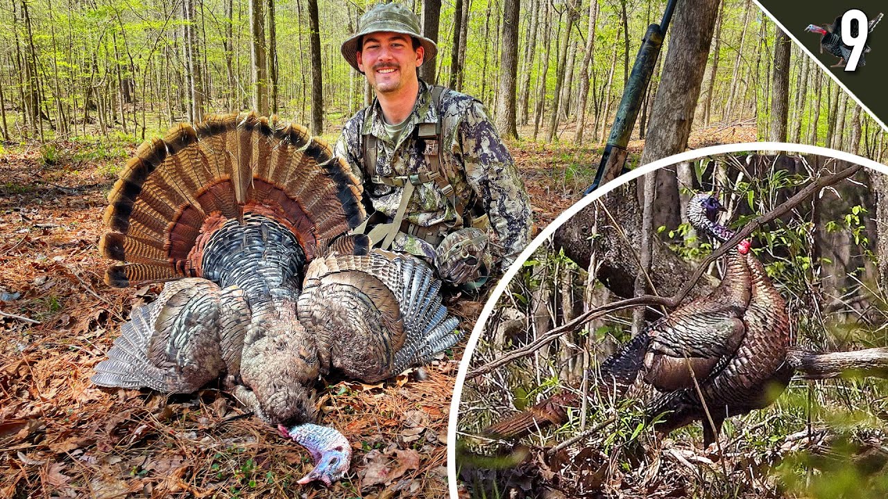 Turkey Tour Day 9 - (Ted calls in the same Gobbler TWICE!!)