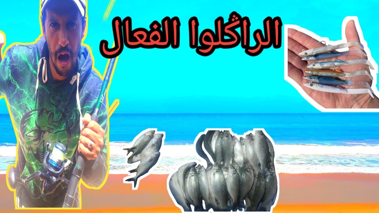 راݣلوا هيبريد إصطناعي فعال 100/100 عن تجربة