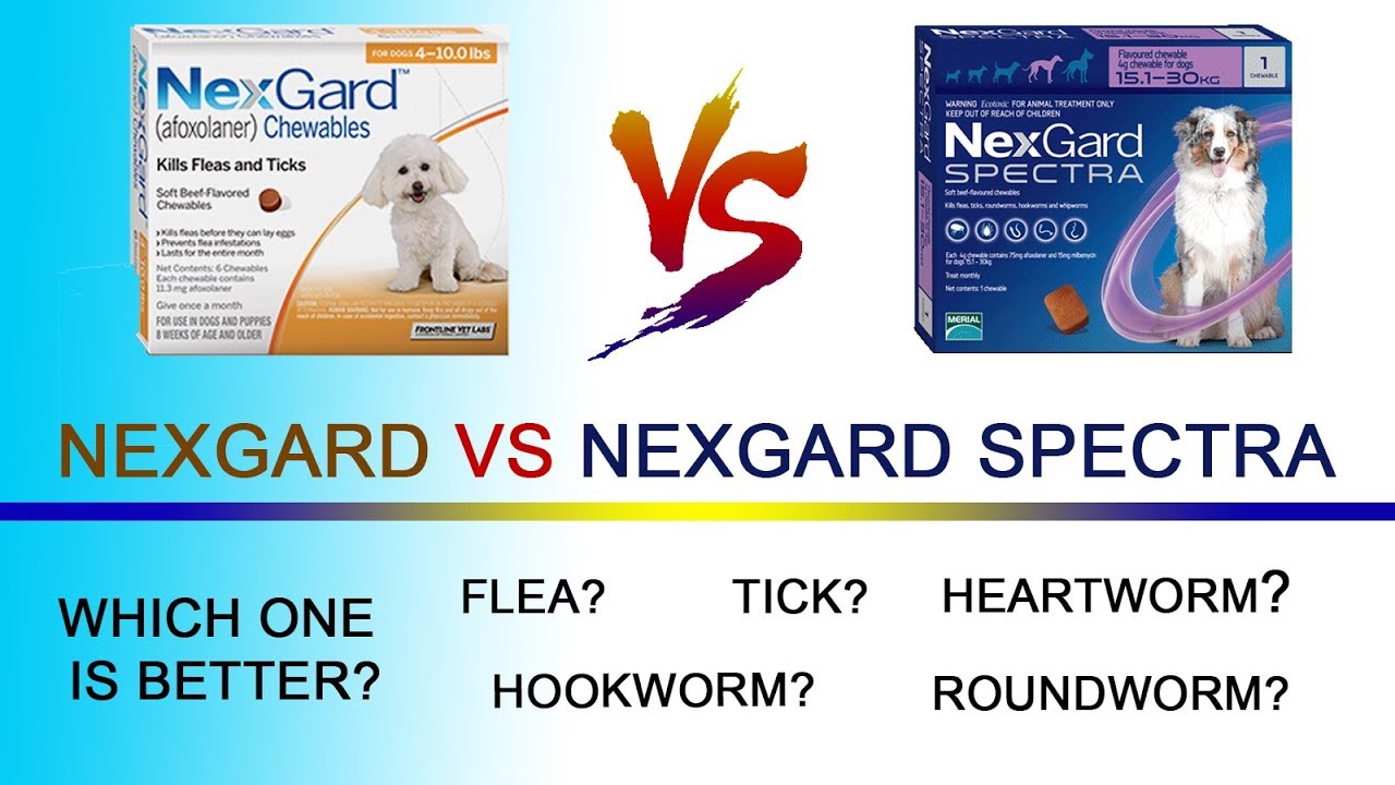 Nexgard vs Nexgard Spectra
