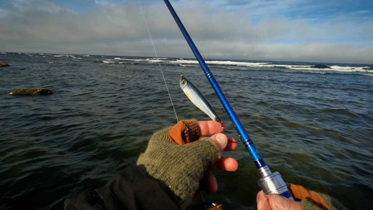 Havs&ouml;ring Gotland Str&ouml;mming - Del 1