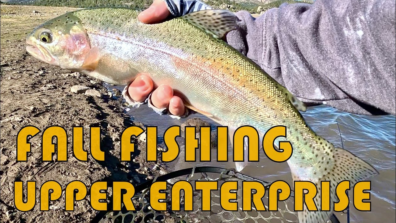 Good Fall Fishing at Upper Enterprise (2025)