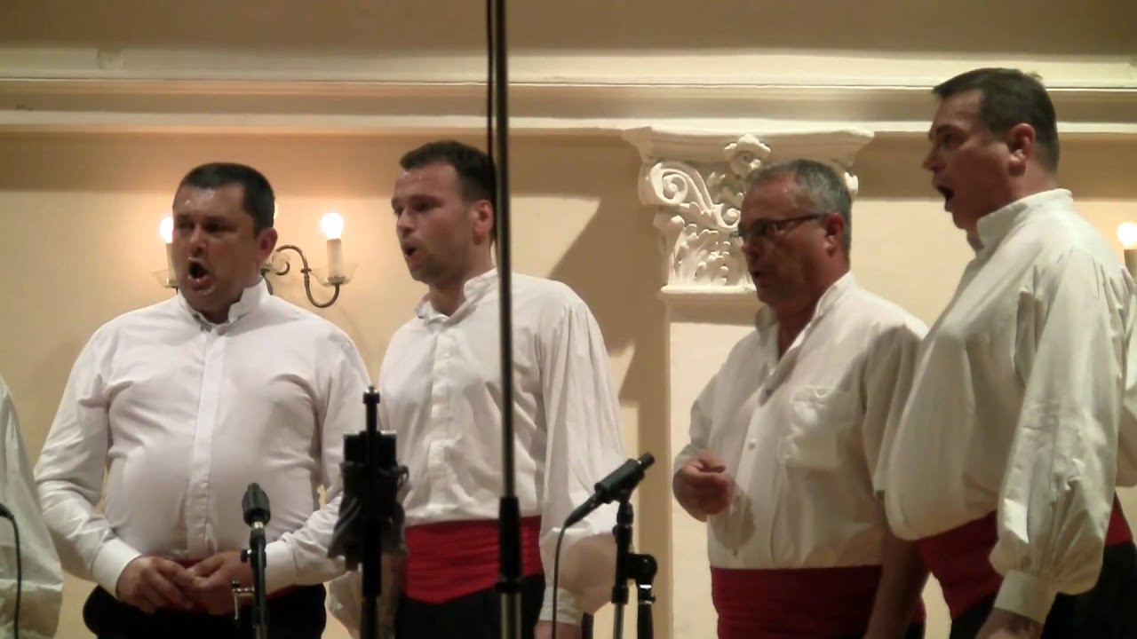 Klapa Zrinski - Murtilica, lipo cviće