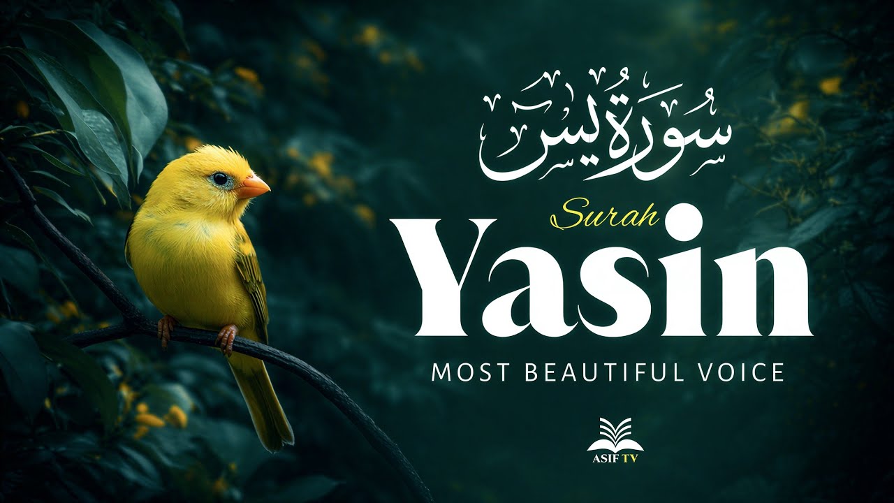 Surah Yaseen (Yasin) سورة يس | Beautiful & Heart-Touching Quran Recitation | Alaa Aqel 