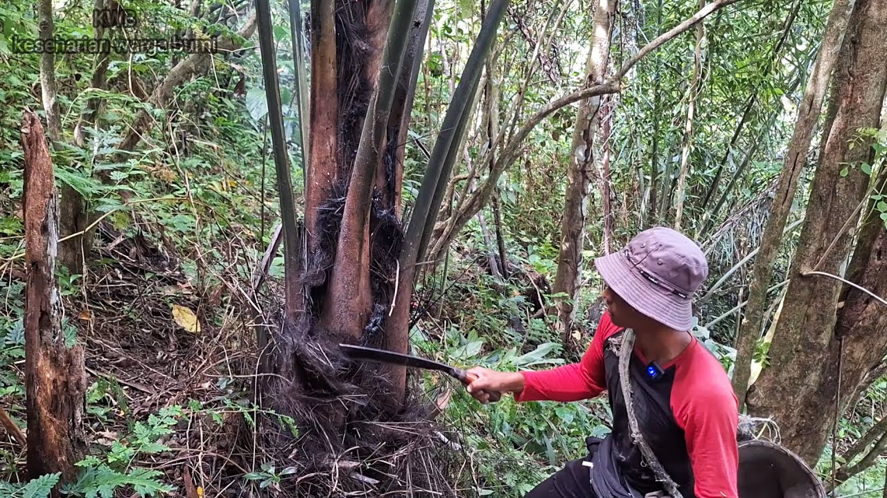 Pulang Kerja, Masuk Hutan, Cari Sayuran, Menu Berbuka Puasa Seadanya