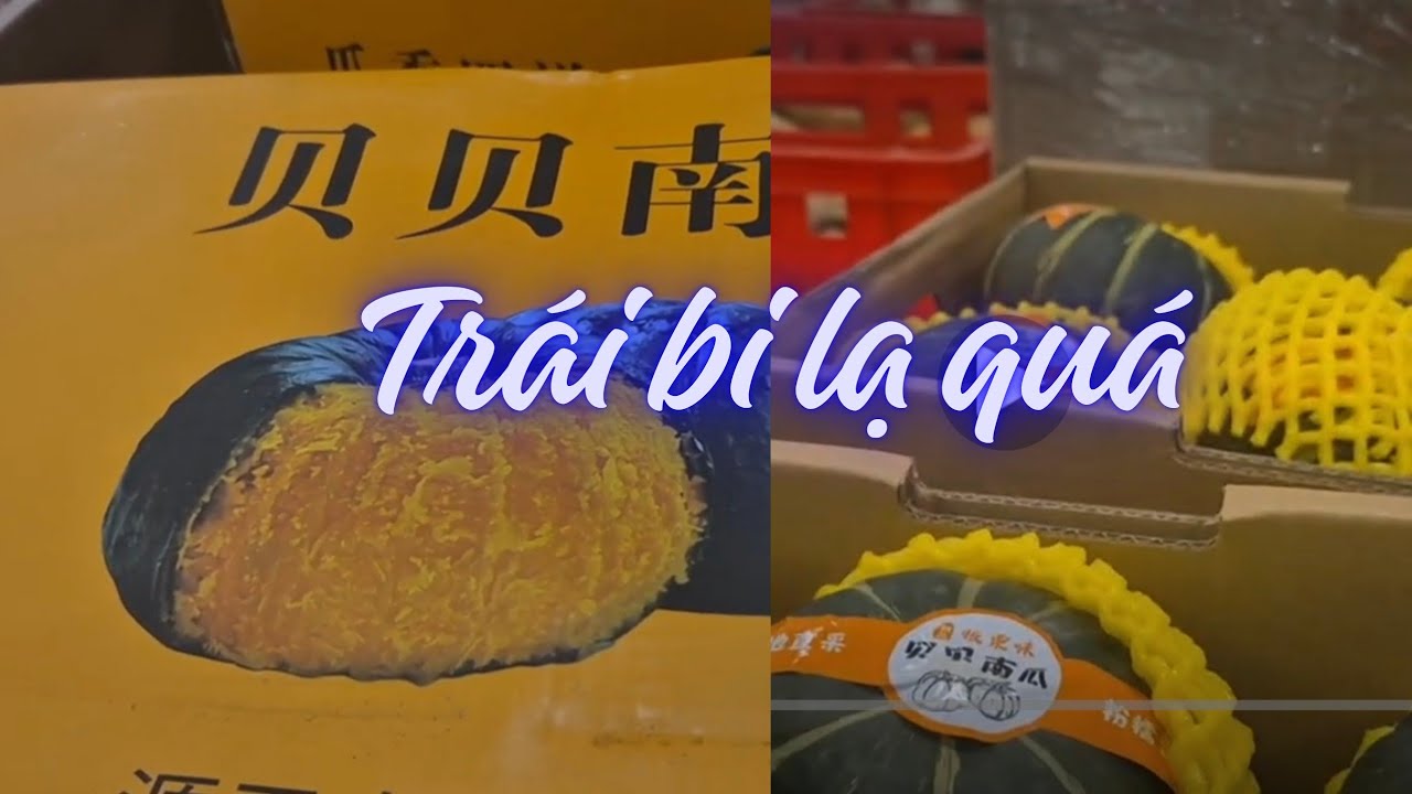 Siêu thị mini ở Pháp/ Lần đầu tiên mua được trái với bí lạ lắm/ Đi Auchan mua đồ Tết !