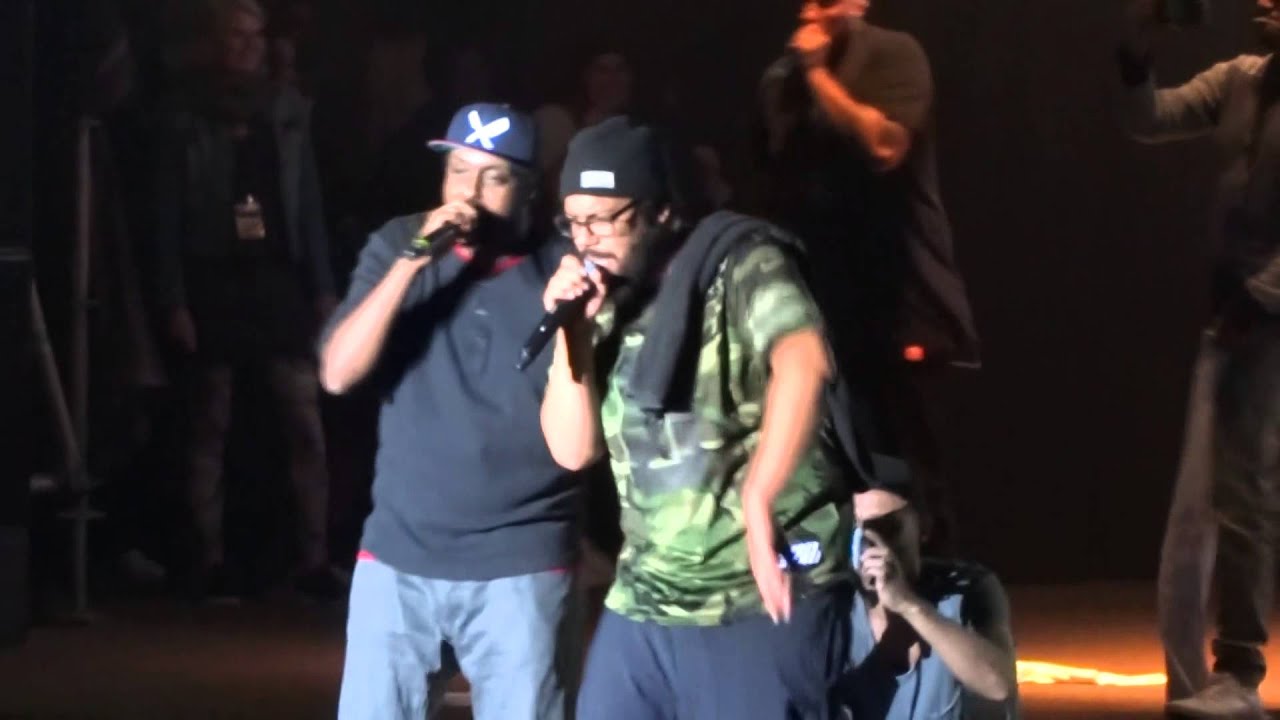 Samy Deluxe & Afrob aka ASD - Sneak Preview - Live @ Stadtpark, Hamburg - 09/2015