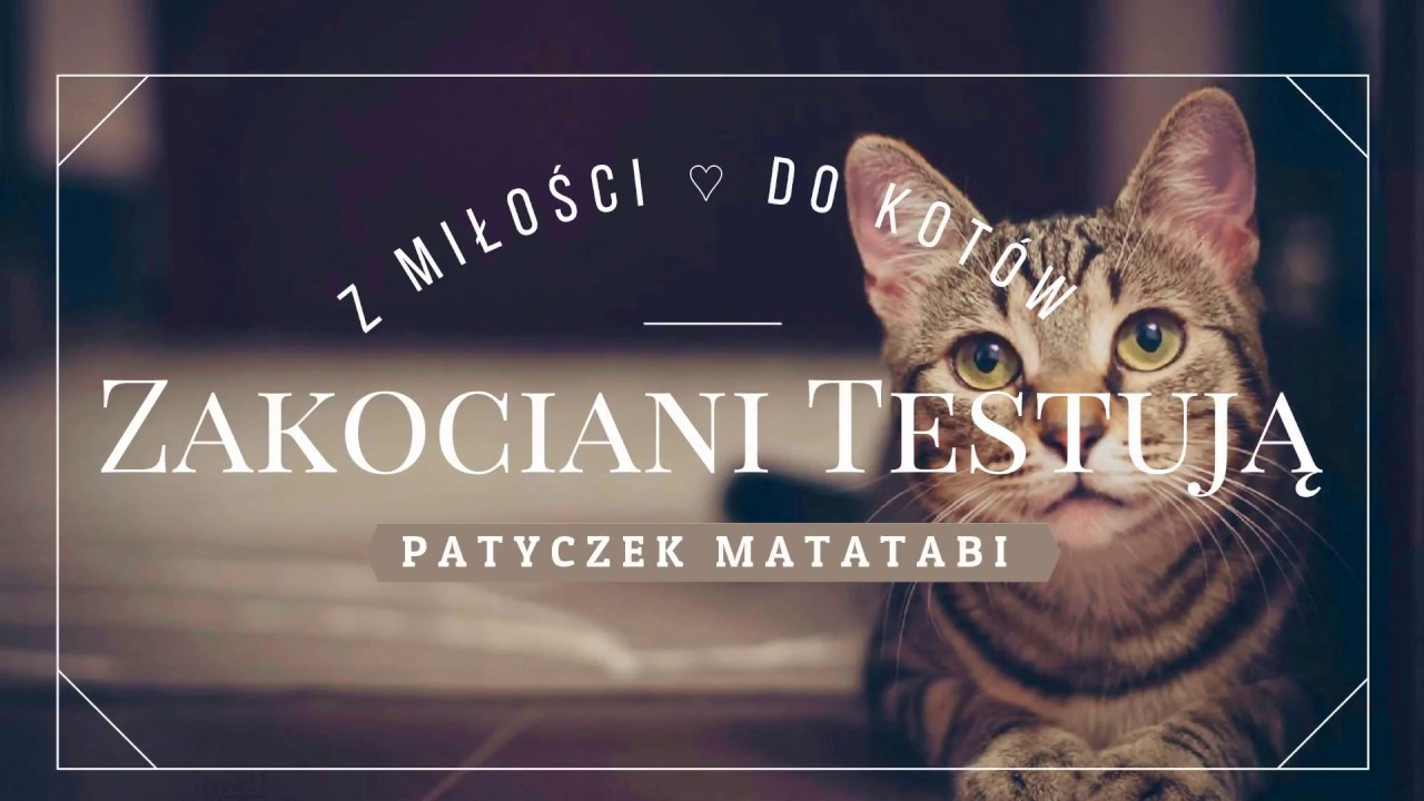 PATYCZEK MATATABI | Matatabi Sticks ♡ Zakociani Testują ♡