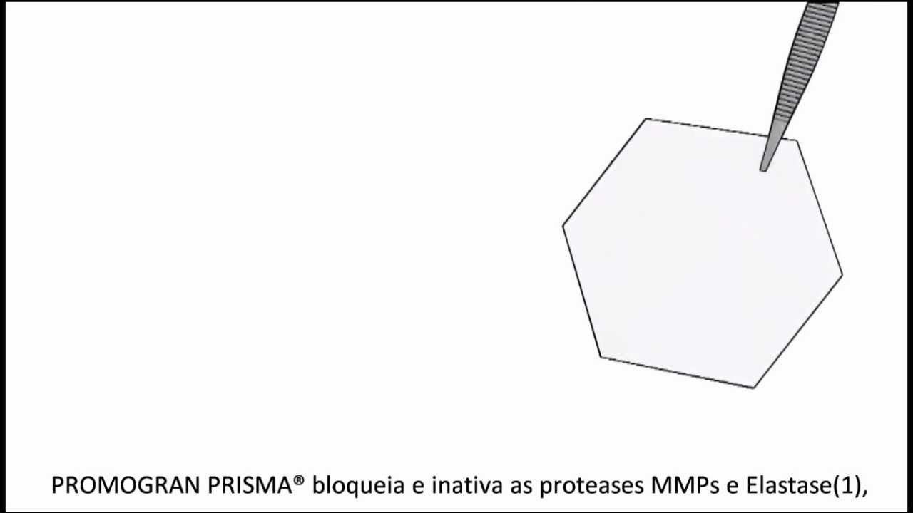 PROMOGRAN PRISMA Matriz para o Equilíbrio de Feridas - Modo de ação