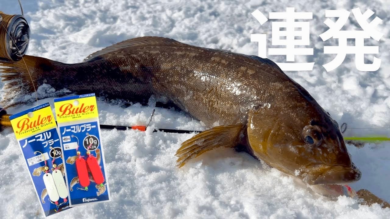 【アイナメ連発】ブラーを落としたらあたりが止まらなくなりました