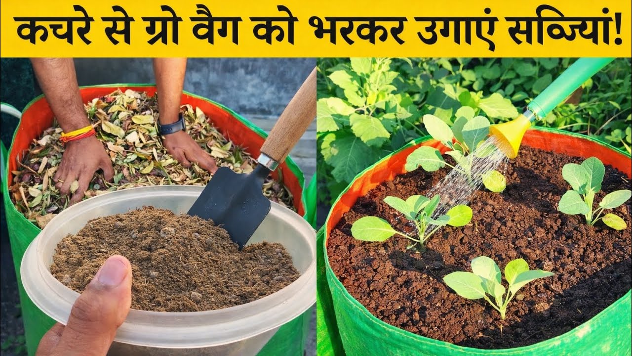 मिट्टी नहीं? टेंशन नहीं! Garden Waste से Grow Bag Ready