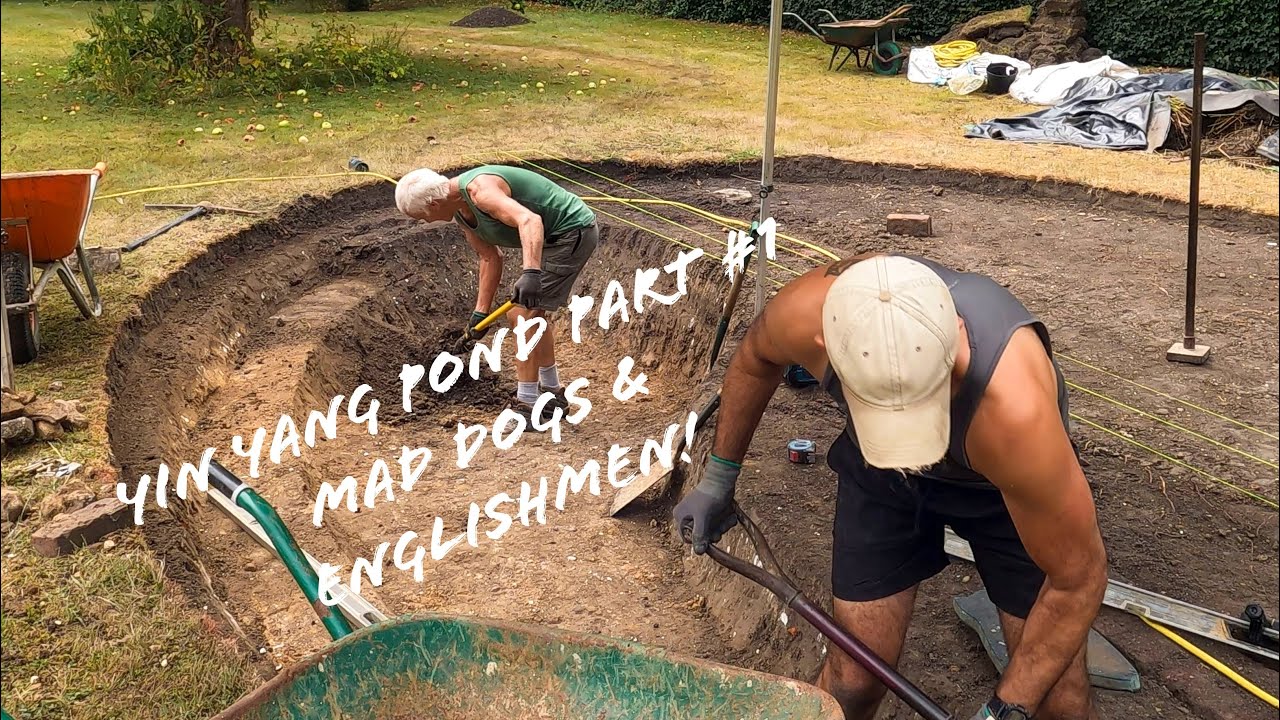 Yin Yang pond part #1 mad dogs & Englishmen