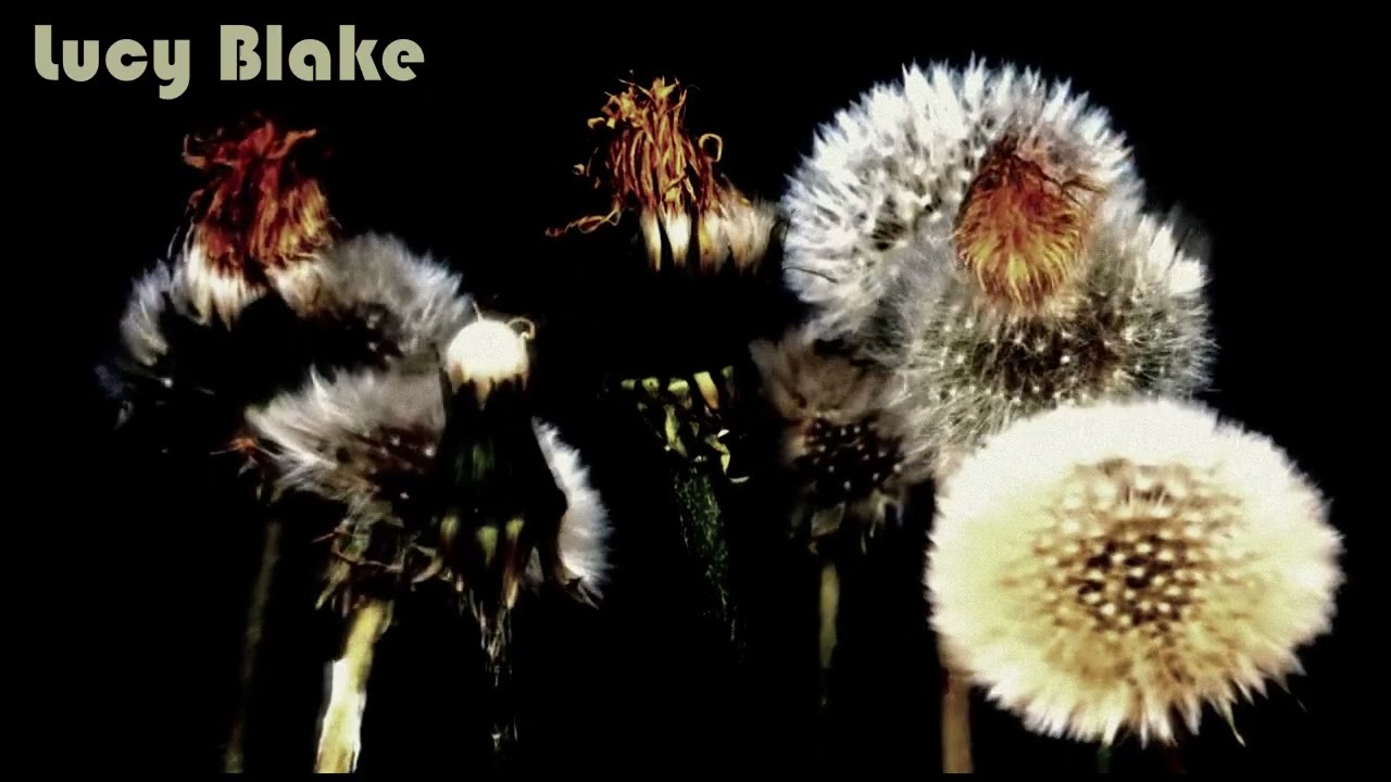 Lucy Blake  - PPF - 02 Crash n Burn - IDM Glitch