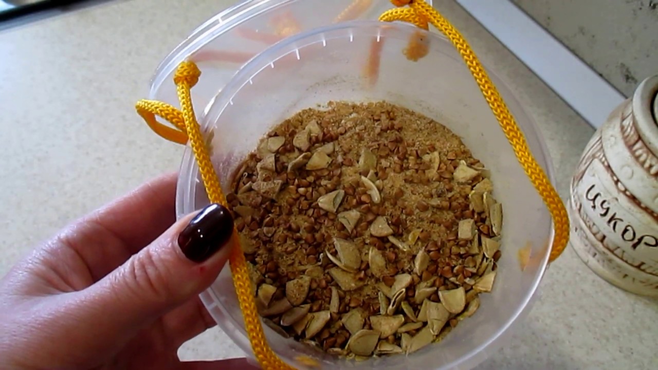 КОРМУШКА ДЛЯ ПТИЦ! Самая простая своими руками!
