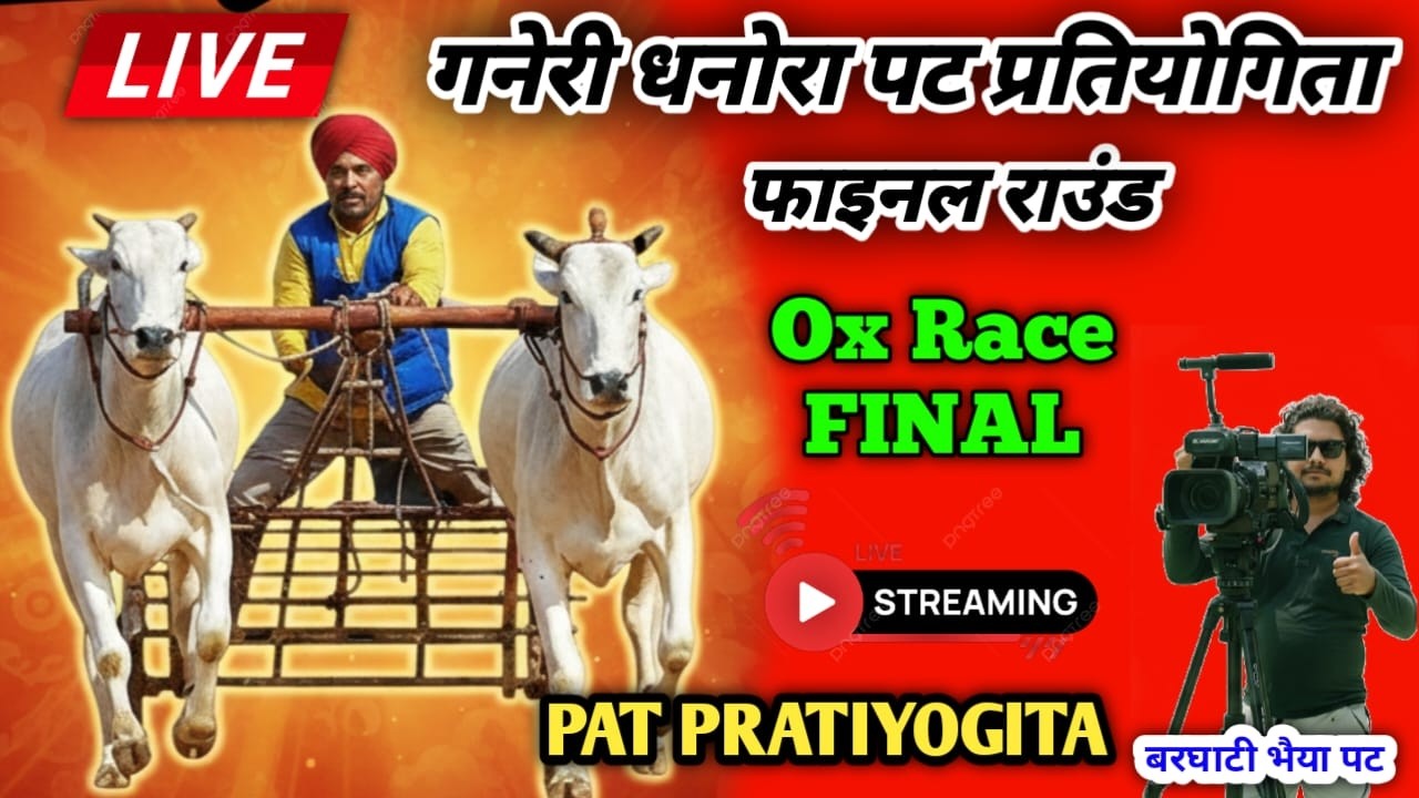 FINAL LIVE TODAY 🌹 गनेरी धनोरा पट प्रतियोगिता  🔴  Ox Video  ❤️  BARGHATI BHAIYA पट PRATIYOGITA