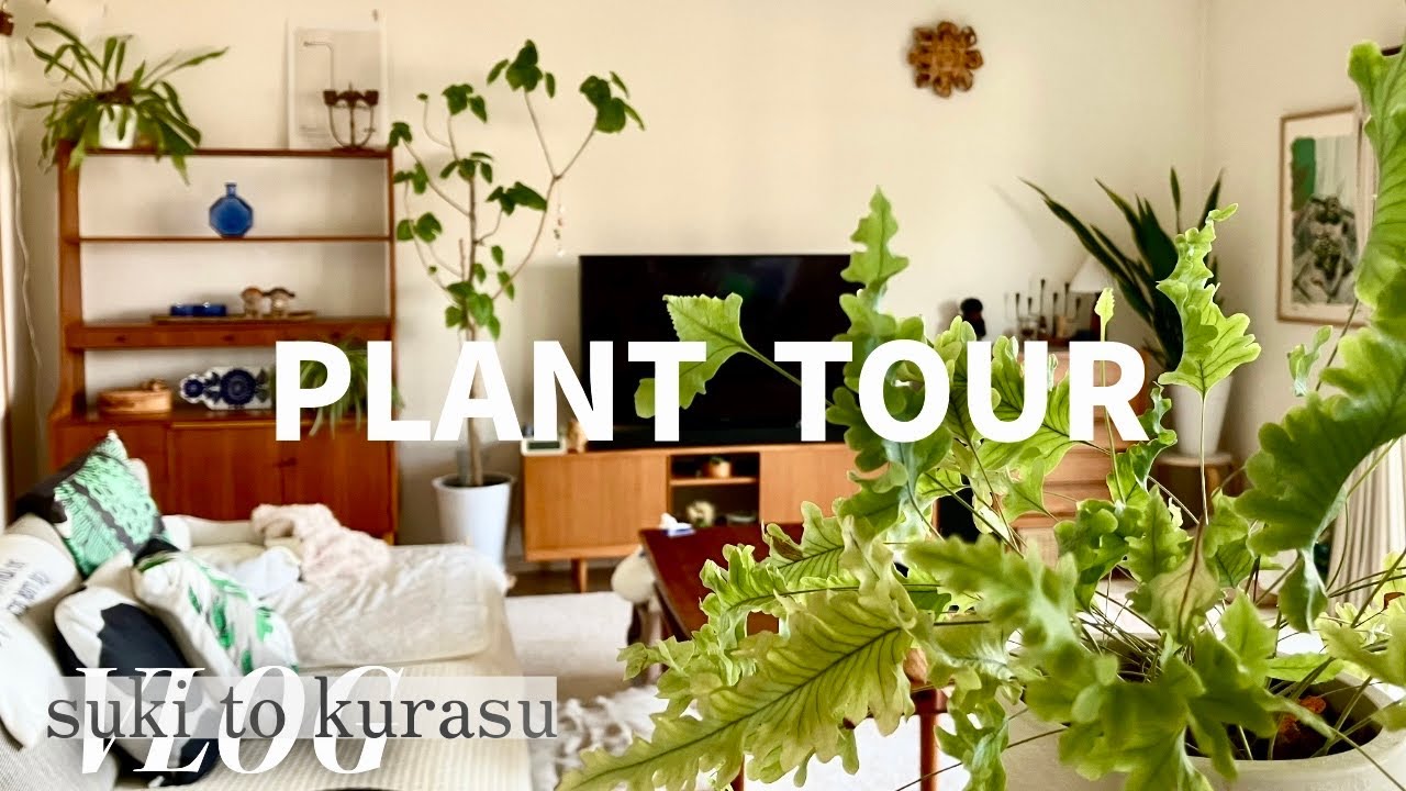 緑と暮らす｜暮らしをオシャレにしてくれる観葉植物｜お世話アイテム紹介