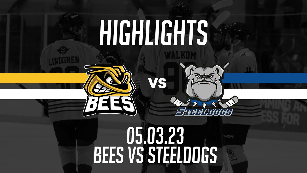 TSI World Bees vs Sheffield Steeldogs 05.03.2023