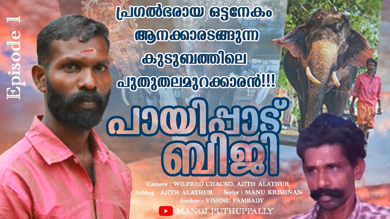 പ്രഗൽഭരായ ഒട്ടനേകം ആനക്കാരടങ്ങുന്ന കുടുംബത്തിലെ പുതുതലമുറക്കാരൻ! പായിപ്പാട് ബിജി | Episode 1 |