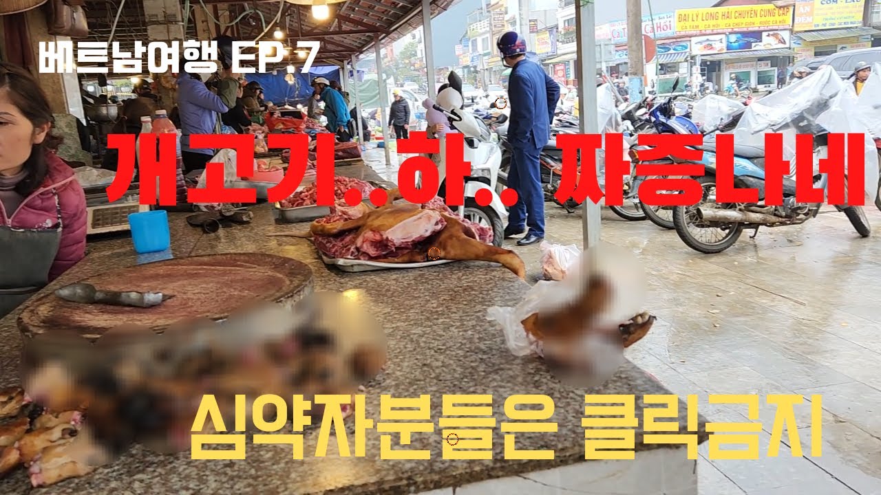 [VLOG]  ep.6 개고기 하....... 심약분들 클릭 금지