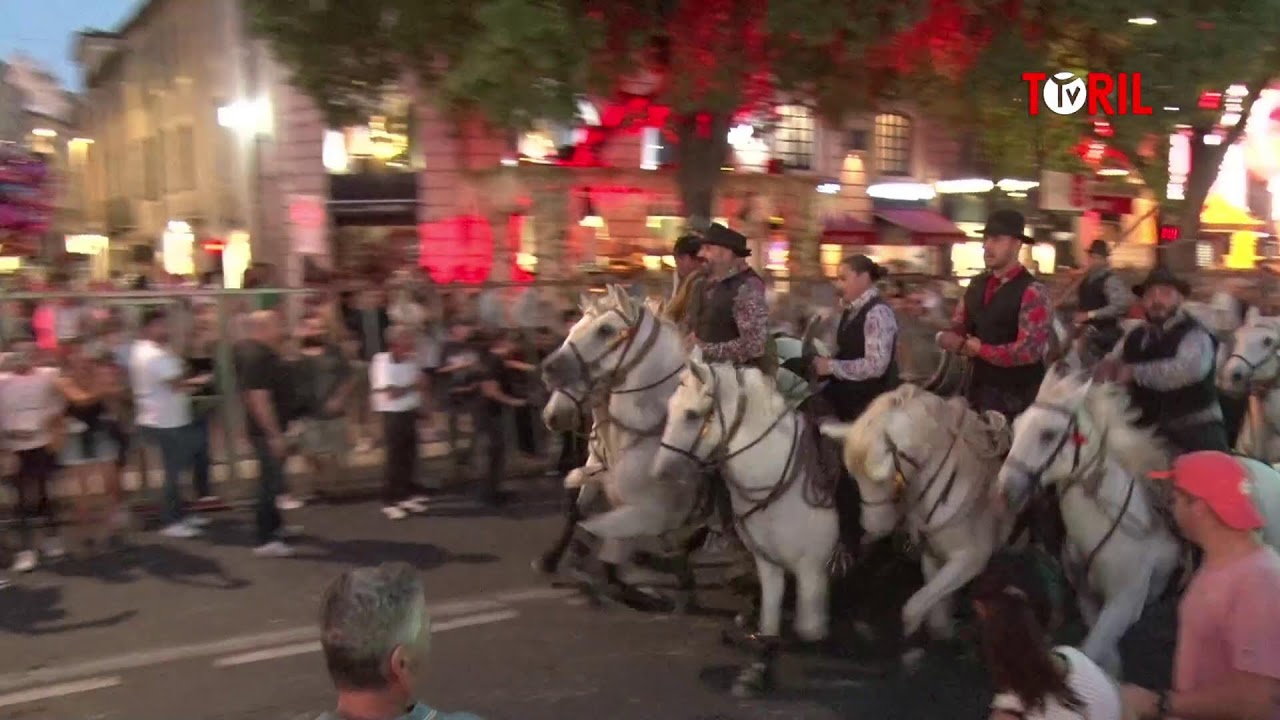 EN DIRECT - Finale du concours d'abrivado Nîmes métropole