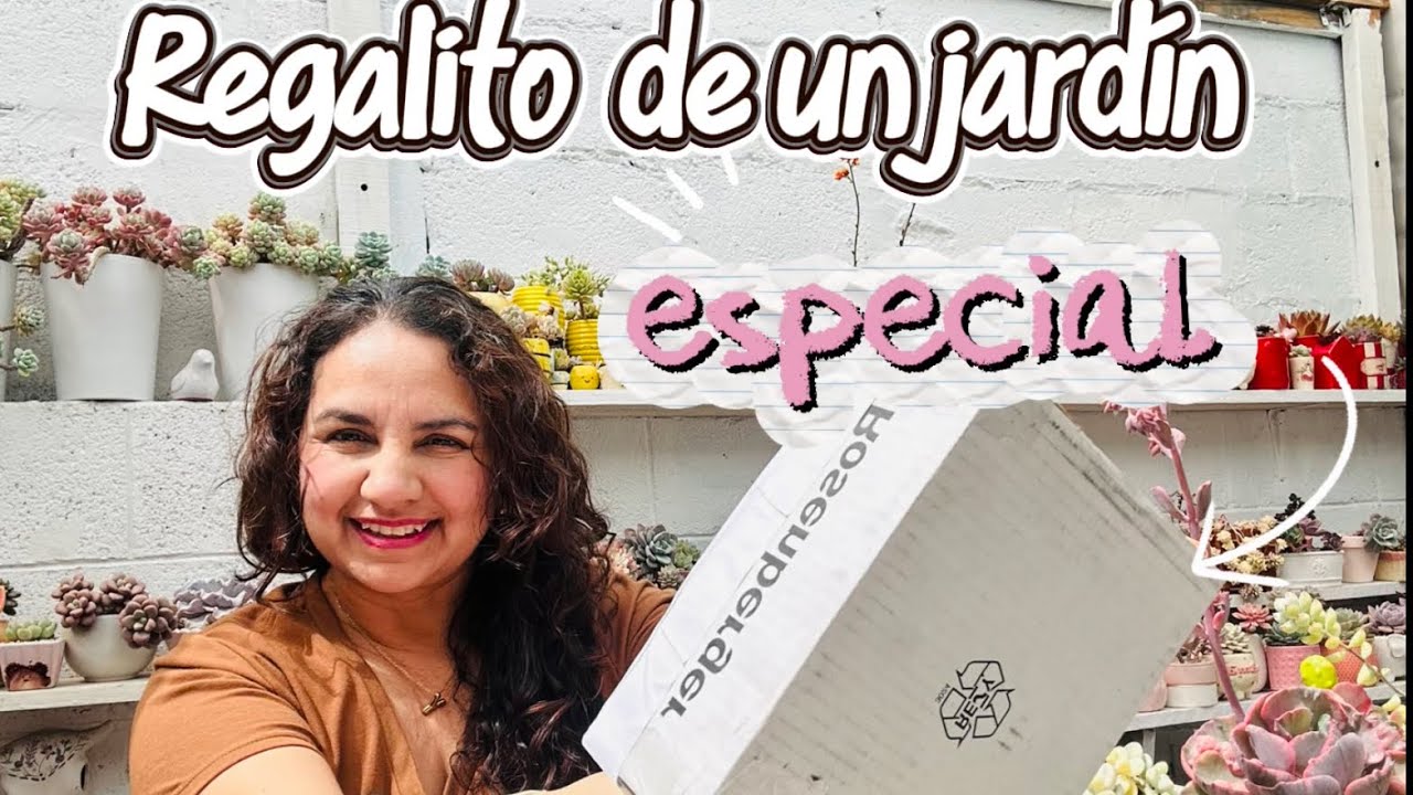 Nuevas suculentas se unen al jardín 