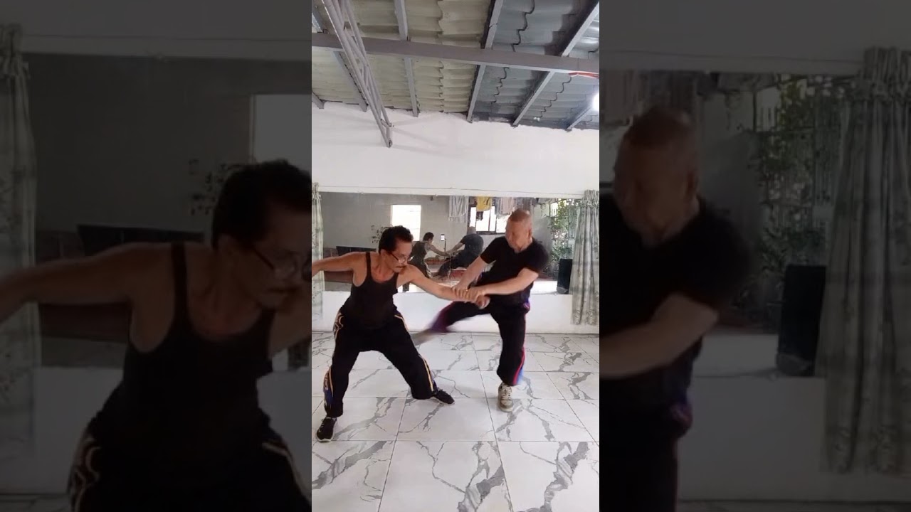 MONGOOSE BASIC FIGHTING DEFENSE.tnx for watching😊