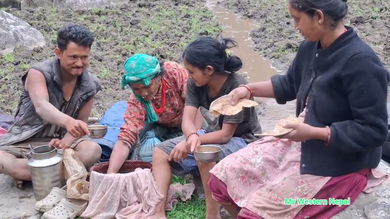Real-life village activities and Daily activities in rural life