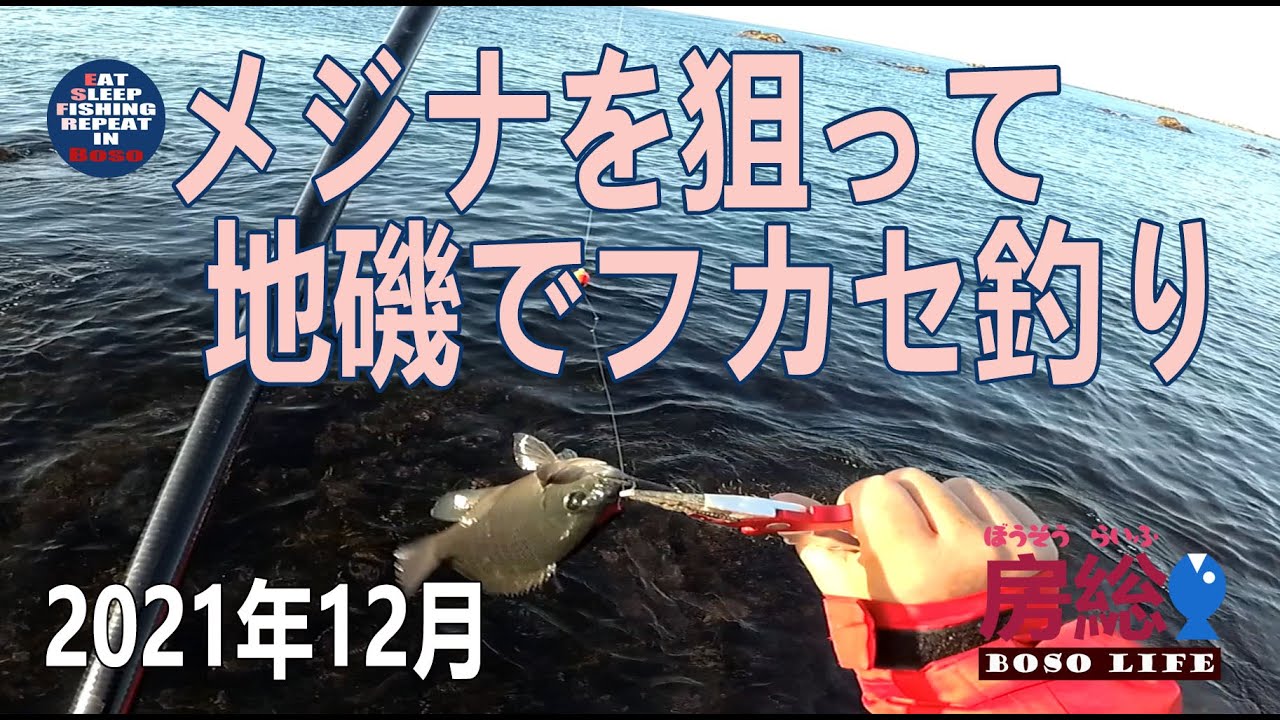 メジナを狙って地磯からフカセ釣り　磯釣り 2021年12月 房総ライフ Vlog ep23