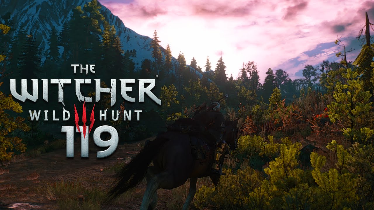 WITCHER 3 [119] - Reise, Reise ★ Let's Play The Witcher 3