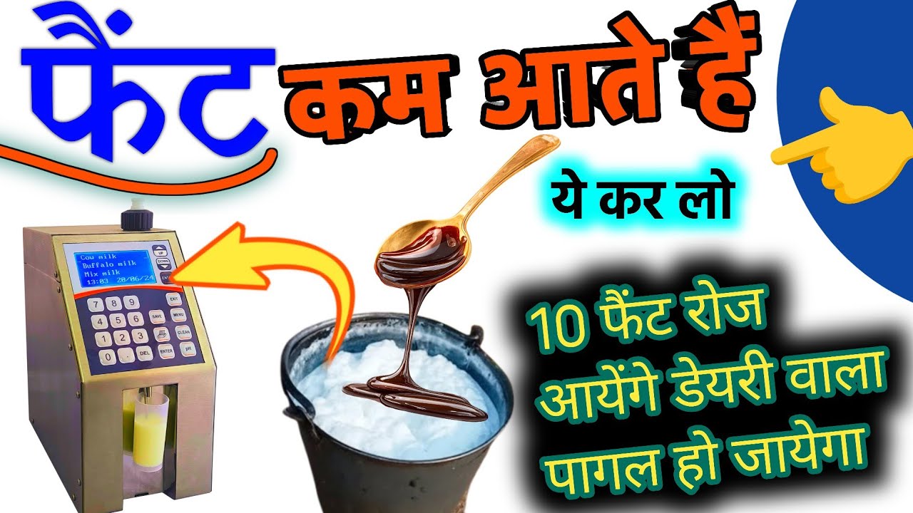 फैंट बढ़ाएं 10% | गाय भैंस के दूध में फैट कैसे बढ़ाए ? doodh ka fat kaise badhaye? HADA VETS CLUB !