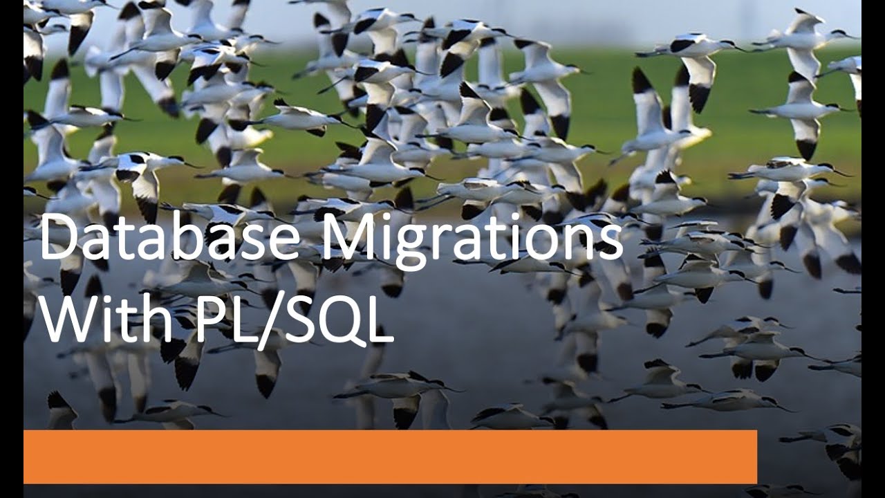 Continuous Database Migrations with PL/SQL