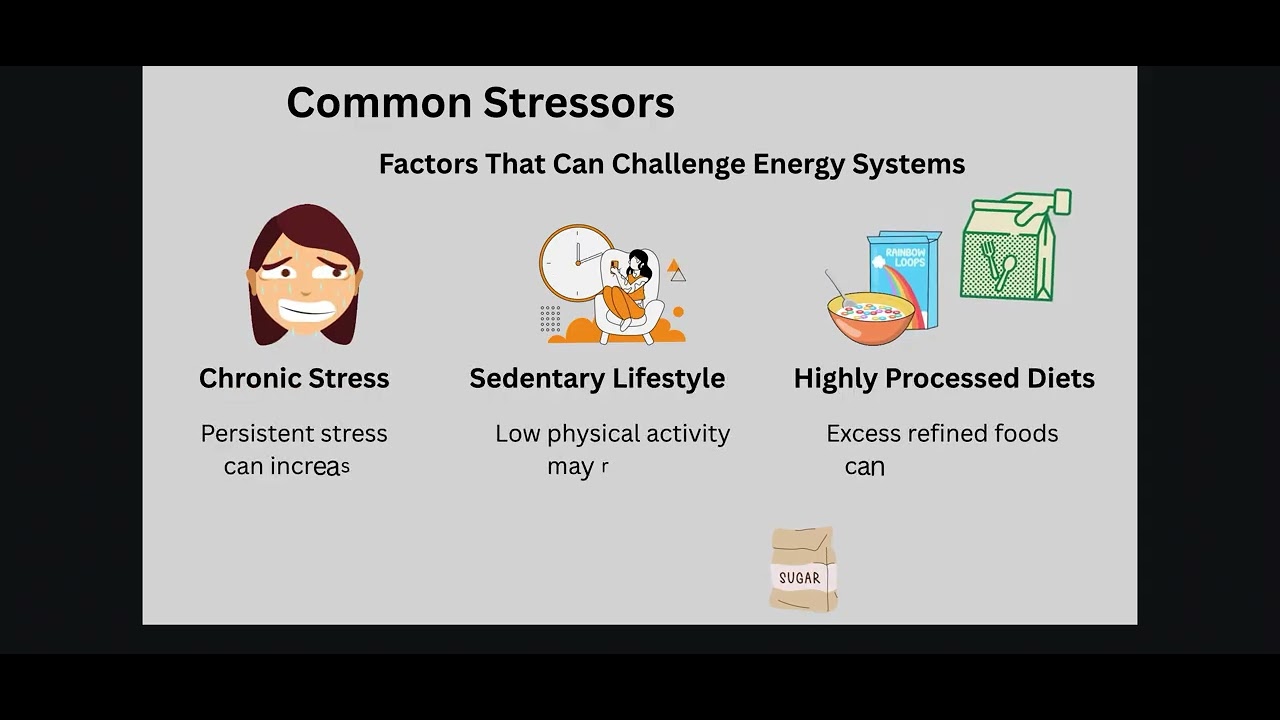 Mitochondrial Health Explained (Beginners Guide to Cellular Energy) 