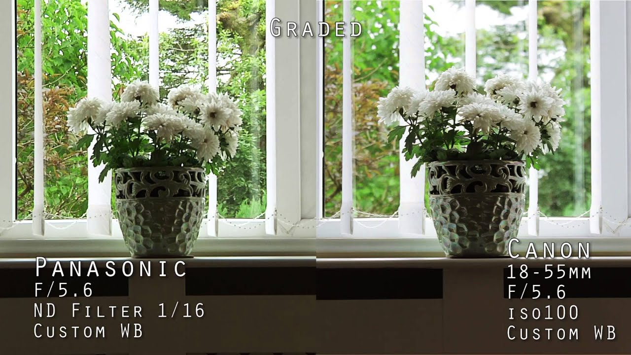 Panasonic HMC151 VS Canon 600d Indoor Test