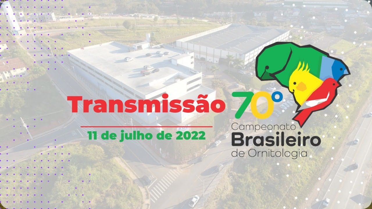 70° Campeonato Brasileiro de Ornitologia #3 | Segunda - Feira | (11/07/22)