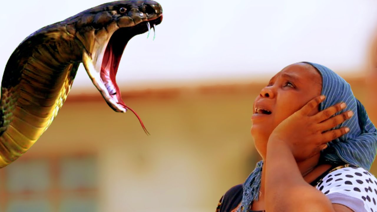 SHANI MWANAFUNZI MCHAWI | 15 |