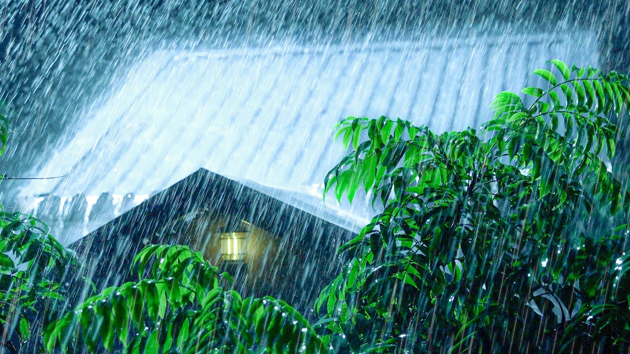 Goodbye Stress with HEAVY RAIN and THUNDERSTORM on Tin Roof at Night・White Noise for Deep Sleep