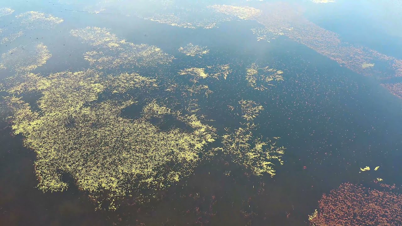 Dolina Karpia. Zator. Podolsze. Przeręb - stawy. W oddali Energylandia. Z lotu ptaka. [4K]