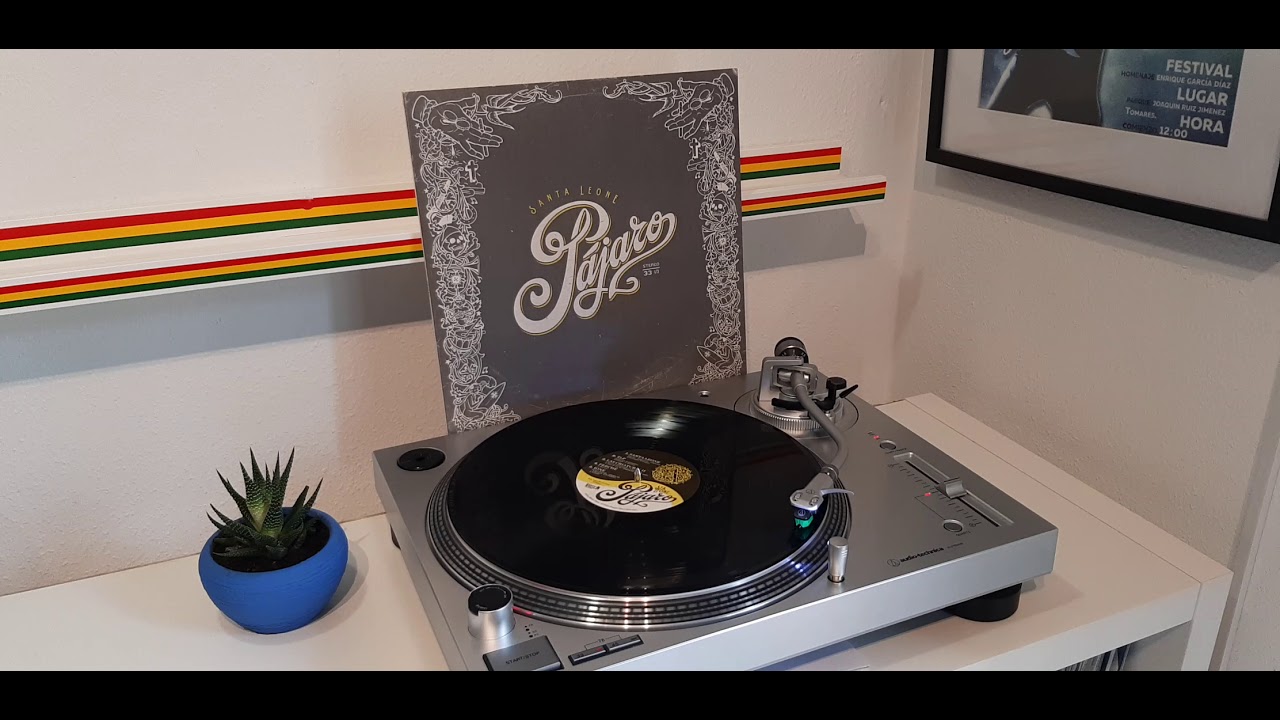 Pájaro ☆ Santa Leone   Vinyl HQ Sound