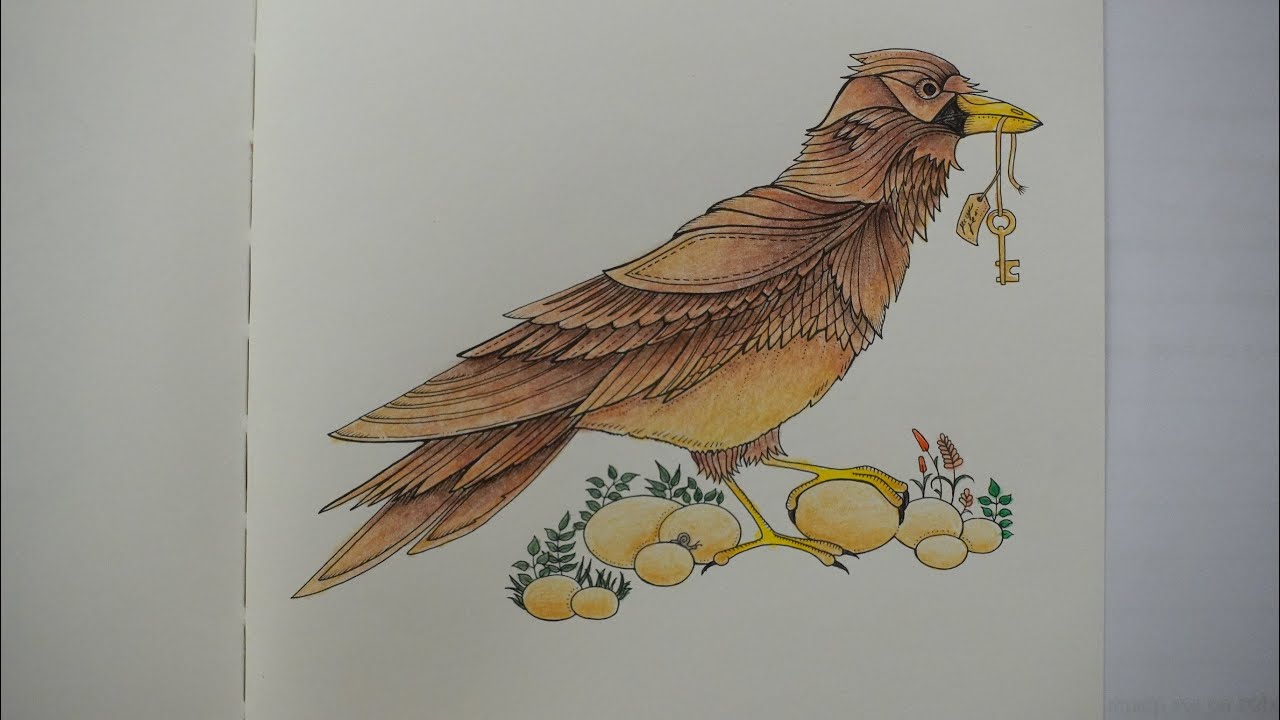 Adult Colouring Tutorial Brown Bird - from Miniature Enchanted Forest by Johanna Basford