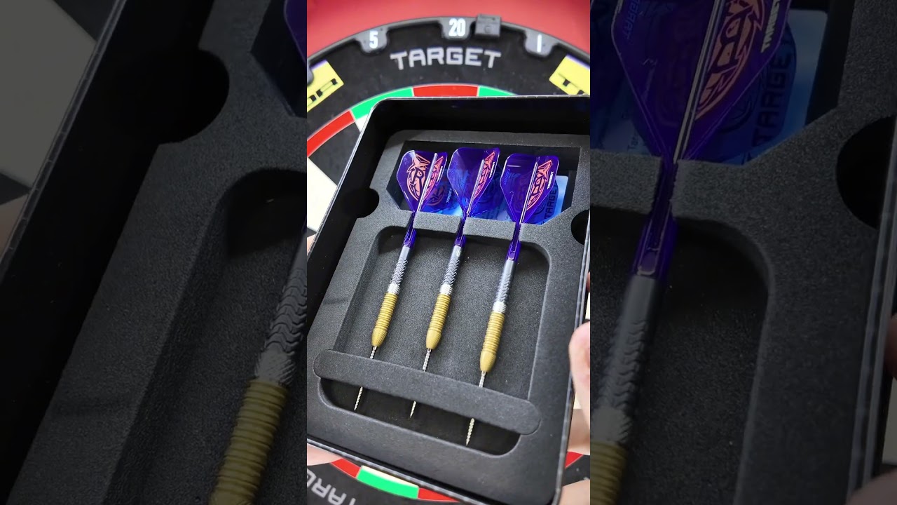 Рэймонд Ван Барневельд Gen 6 🎯 #darts #dartscommunity #targetdarts