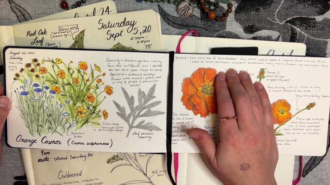 Nature and Phenology Journaling