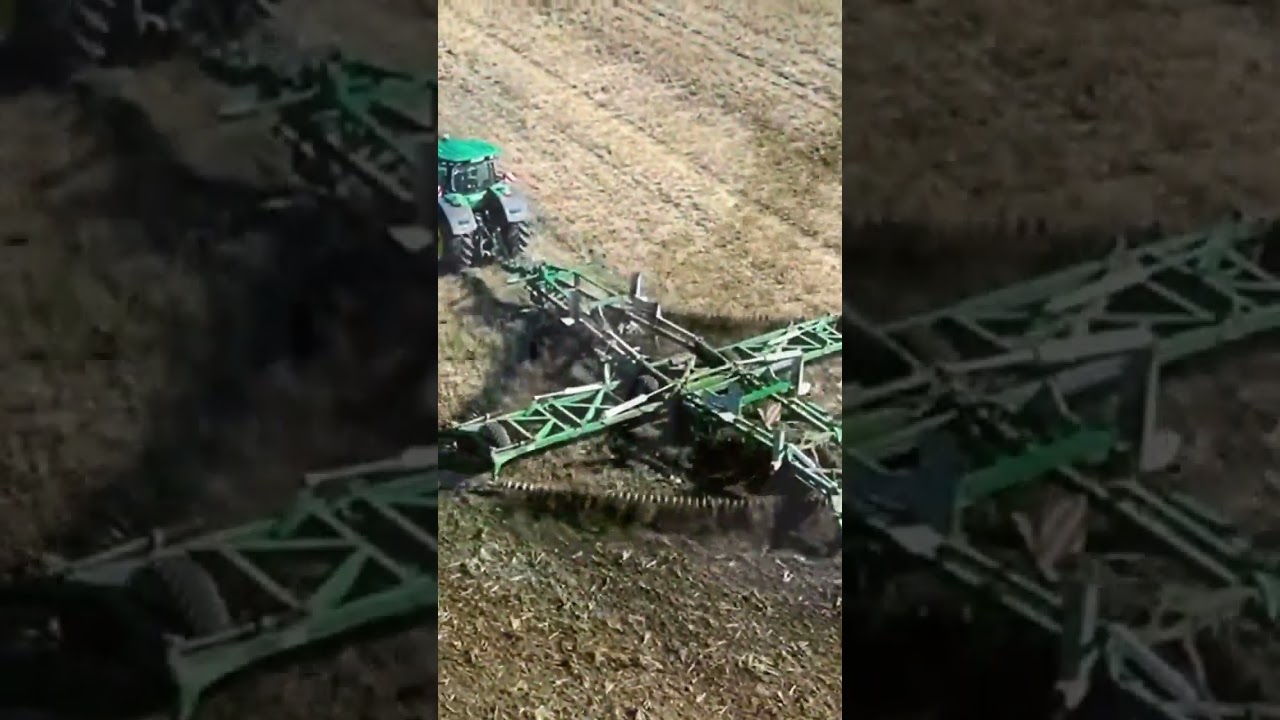 Kelly Diamond harrow 12m
